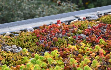 the cost of Golden Pot green roof installation