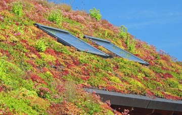 Golden Pot living roof systems